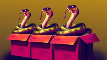 Snake Cluster Box: Portable Computation Cluster